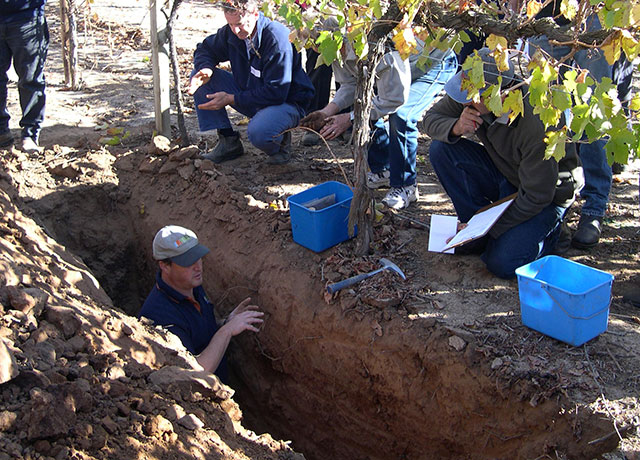 灌溉研讨会，有人在葡萄园里挖出一个挖洞的讲师